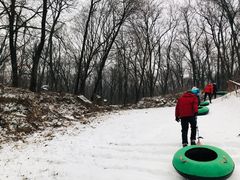 -五家山森林公园滑雪场