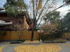 -龙华素斋(龙华路店)