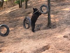-泉州海丝野生动物世界