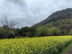 -八卦田遗址公园