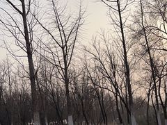 -青龙湖公园