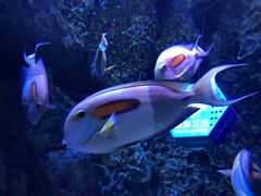 -成都浩海立方海洋公园