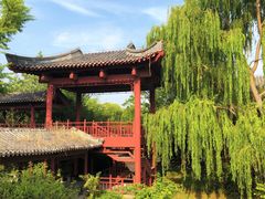 -百脉泉景区