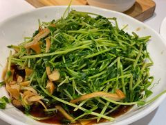 松茸豆苗-丰收日(五角场店)
