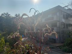 -南丫岛