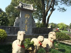 -雨花胜境