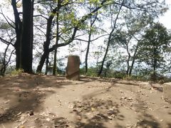 -南山植物园