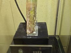 -中华赏石园