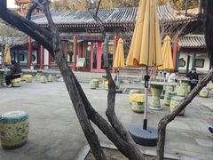 -宫事颐庭·老佛爷贵寿下午茶(颐和园店)