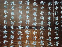-四川大学博物馆