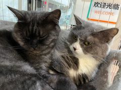 -乐果甜心·潮汕冰室(南澳后宅分店)