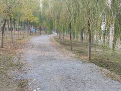 -西青郊野公园