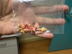 -北京观赏动物医院·24小时大型综合·猫专科·异宠专科