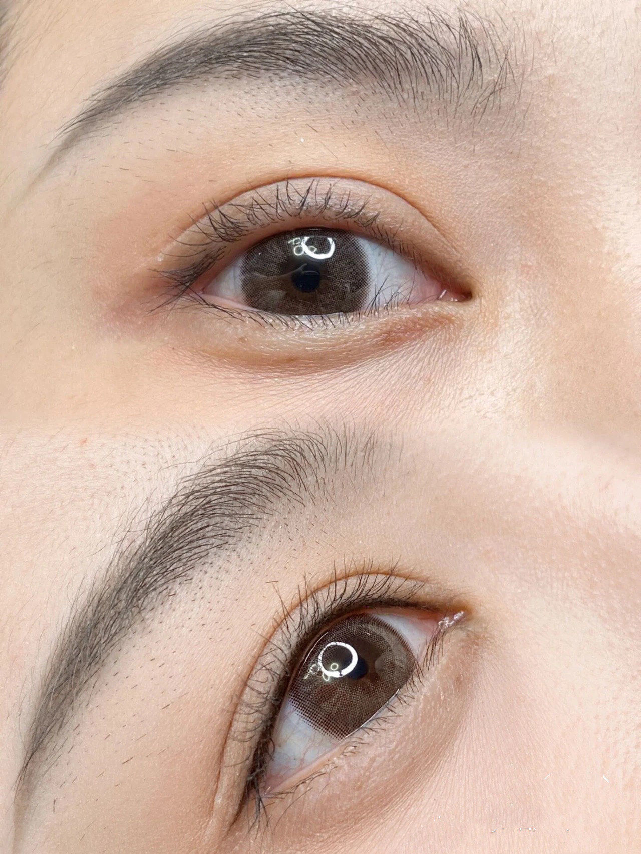 灵动有神的小鹿眼,真的太喜欢了