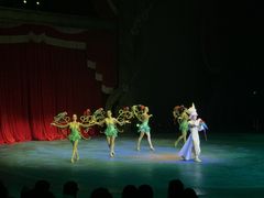 -珠海横琴长隆《卡卡虎奇遇记》