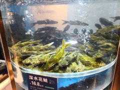 -香坝坝鲜鱼火锅(春熙路店)