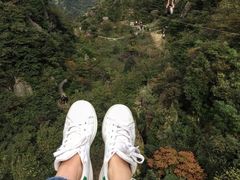 -梦幻奥陶纪景区