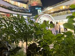 -gaga(深圳福田星河COCO Park店)