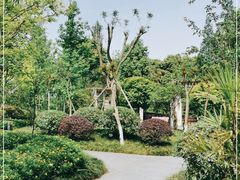 -成飞公园