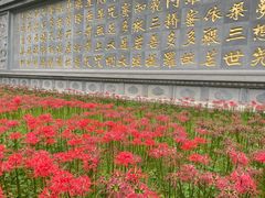 -西安大兴善寺