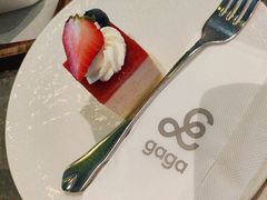 -gaga(北京新中关购物中心店)