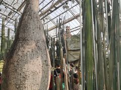 -南山植物园