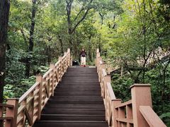 -南京老山国家森林公园