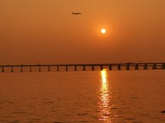 -宝安西湾红树林湿地公园