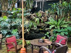 -Fern Forest Cafe