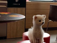 -麦当劳(仙林亚东城得来速店)