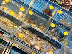 -77号渔船·蒸海鲜青岛菜(积米崖店)