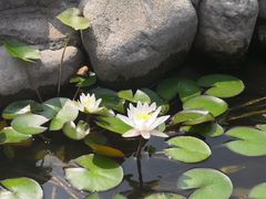 -丹世红酒庄·烧烤·团建·婚礼·水上运动