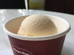 哈密瓜冰淇淋-哈根达斯(皇庭店)