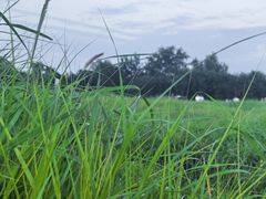 -汉长安城未央宫国家考古遗址公园