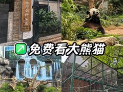 -石排湾郊野公园