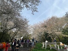 -杭州少年儿童公园
