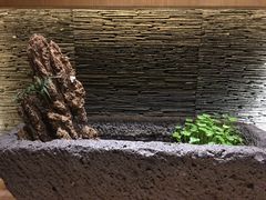 -素慧餐厅(大虹桥店)