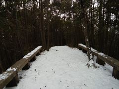 -武陵山森林公园