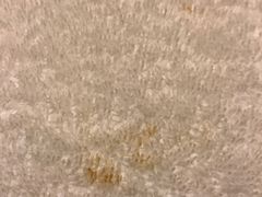 -维也纳国际酒店(深圳新洲店)