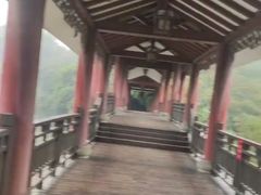 -张坝桂圆林公园
