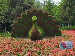 -长白岛森林公园