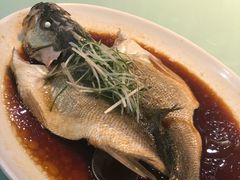 清蒸鲈鱼-鹊华居·地道鲁菜·海鲜·融合味(大明湖店)