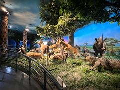 -国家自然博物馆