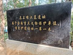 -马王堆汉墓遗址