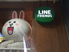 -line friends(明洞旗舰店)