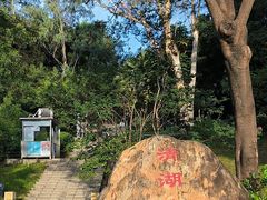 -清湖文化公园