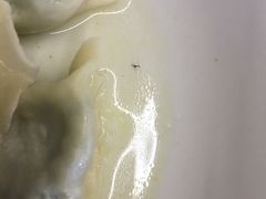 -东北四季饺子王(华山路店)