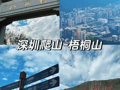 -梧桐山风景名胜区