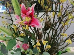 -旺顺阁·北京菜(北辰上品+)