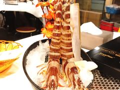 -鲜入围煮花胶鸡海鲜火锅